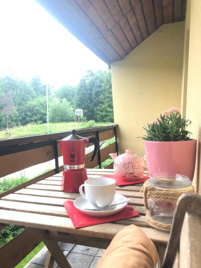 Apartment S Vyhledem Na Jezerni Stenu Zelezna Ruda